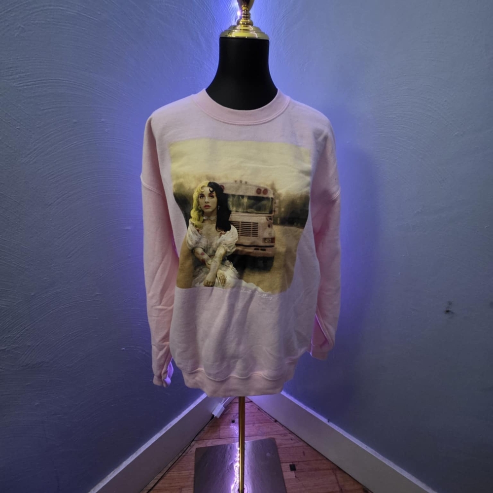 Adidas Pastel Pink Graphic Women's Sweater